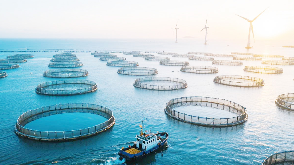 陆基循环水养殖示意图